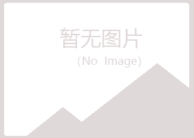 安阳文峰以海化学有限公司